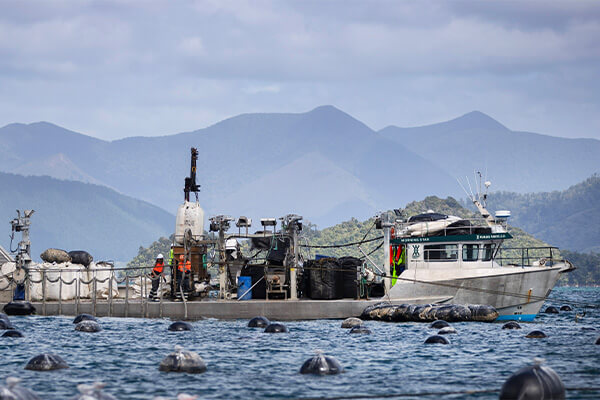 Fishing Boat