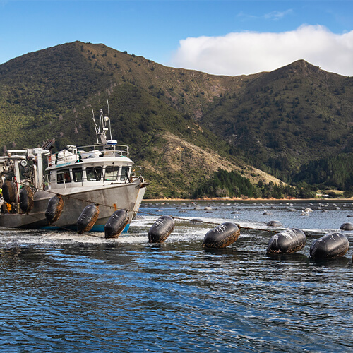 Fishing Boat Moving